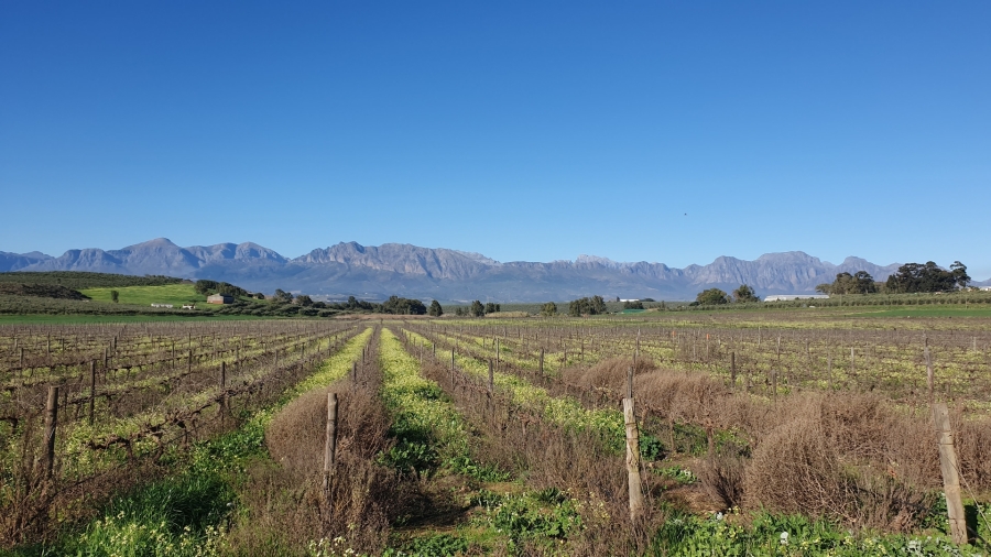 Commercial Property for Sale in Paarl Rural Western Cape